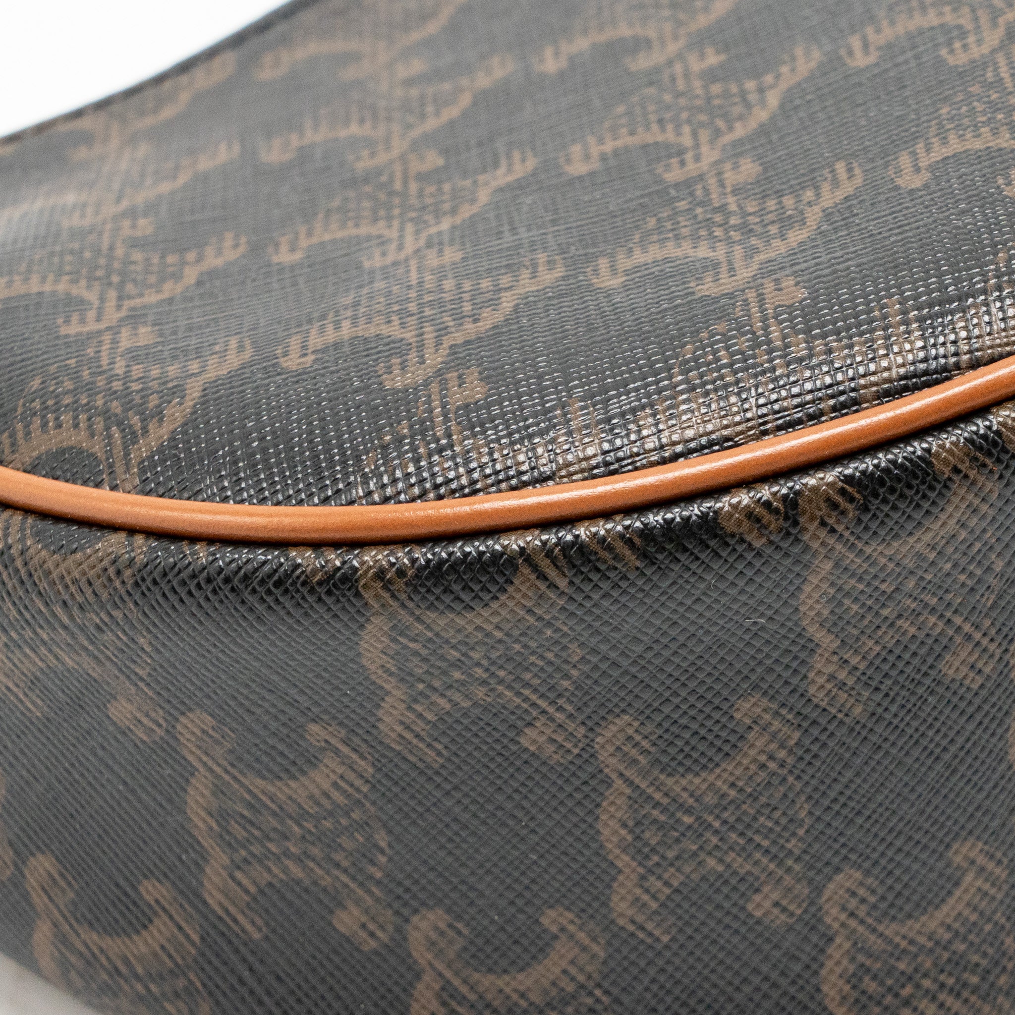 Celine Ava Bag Triomphe Canvas / Calfskin Tan GHW - Image 10
