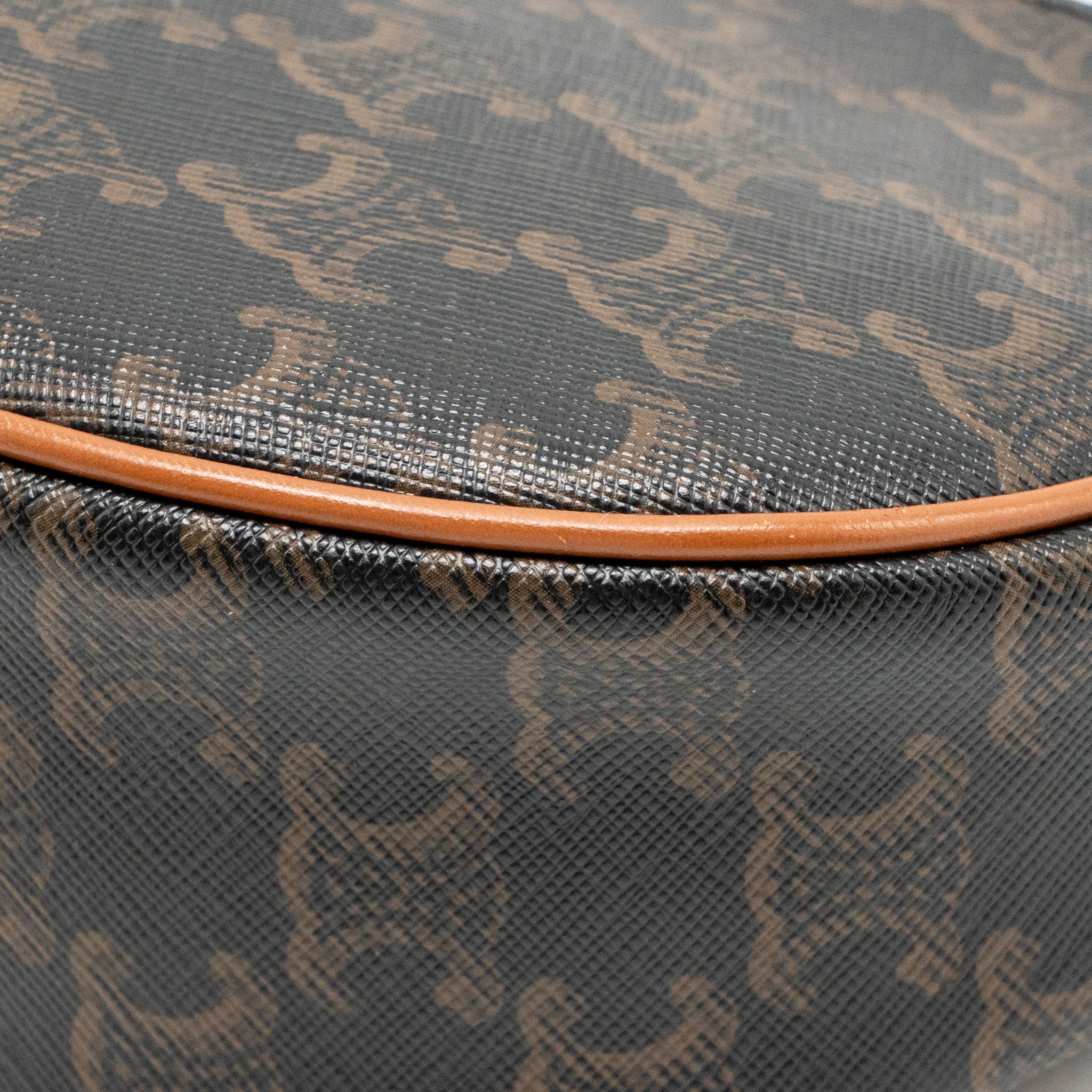 Celine Ava Bag Triomphe Canvas / Calfskin Tan GHW - Image 9