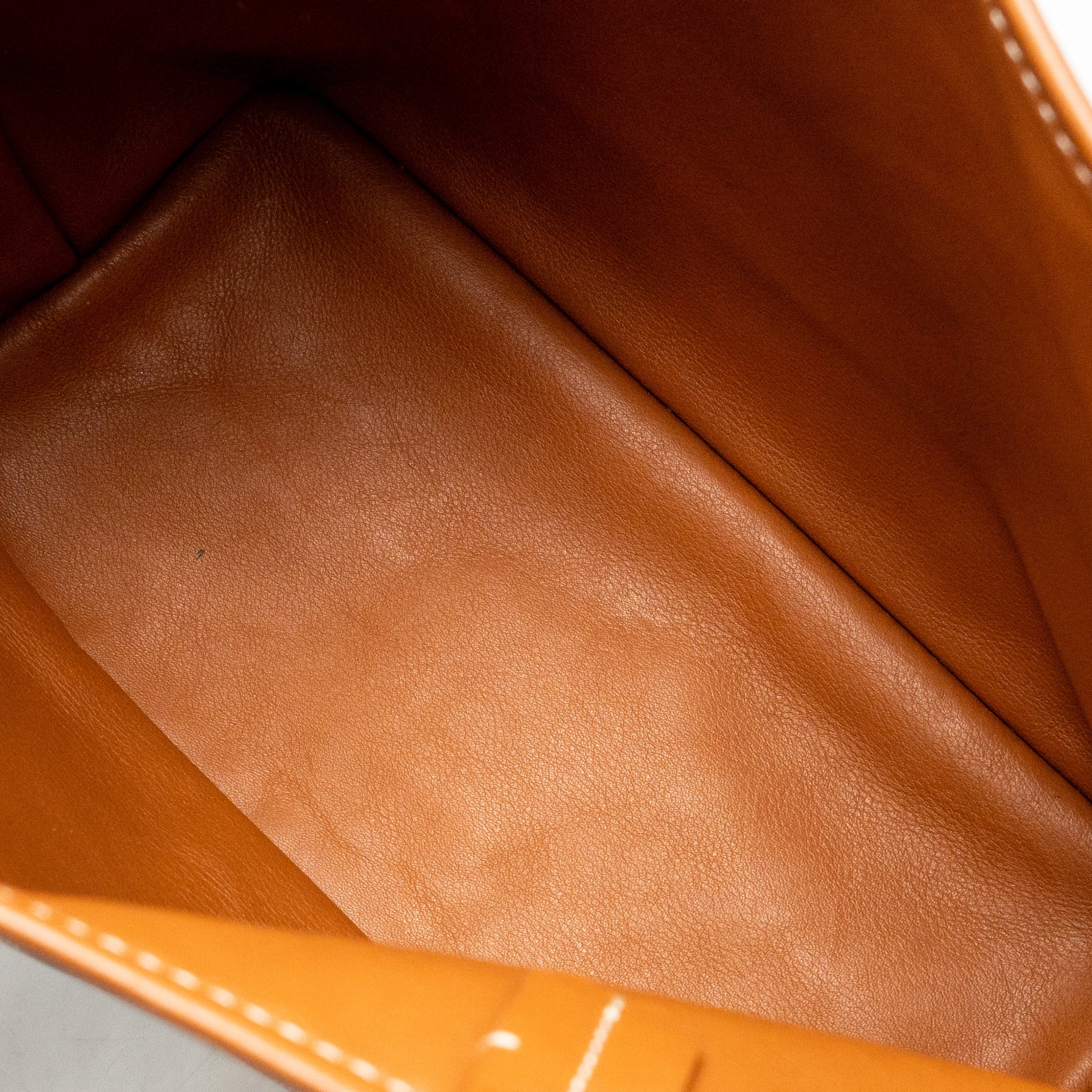 Goyard Mini Anjou Tote Goyardine Canvas/ calfskin Tan SHW - Image 12
