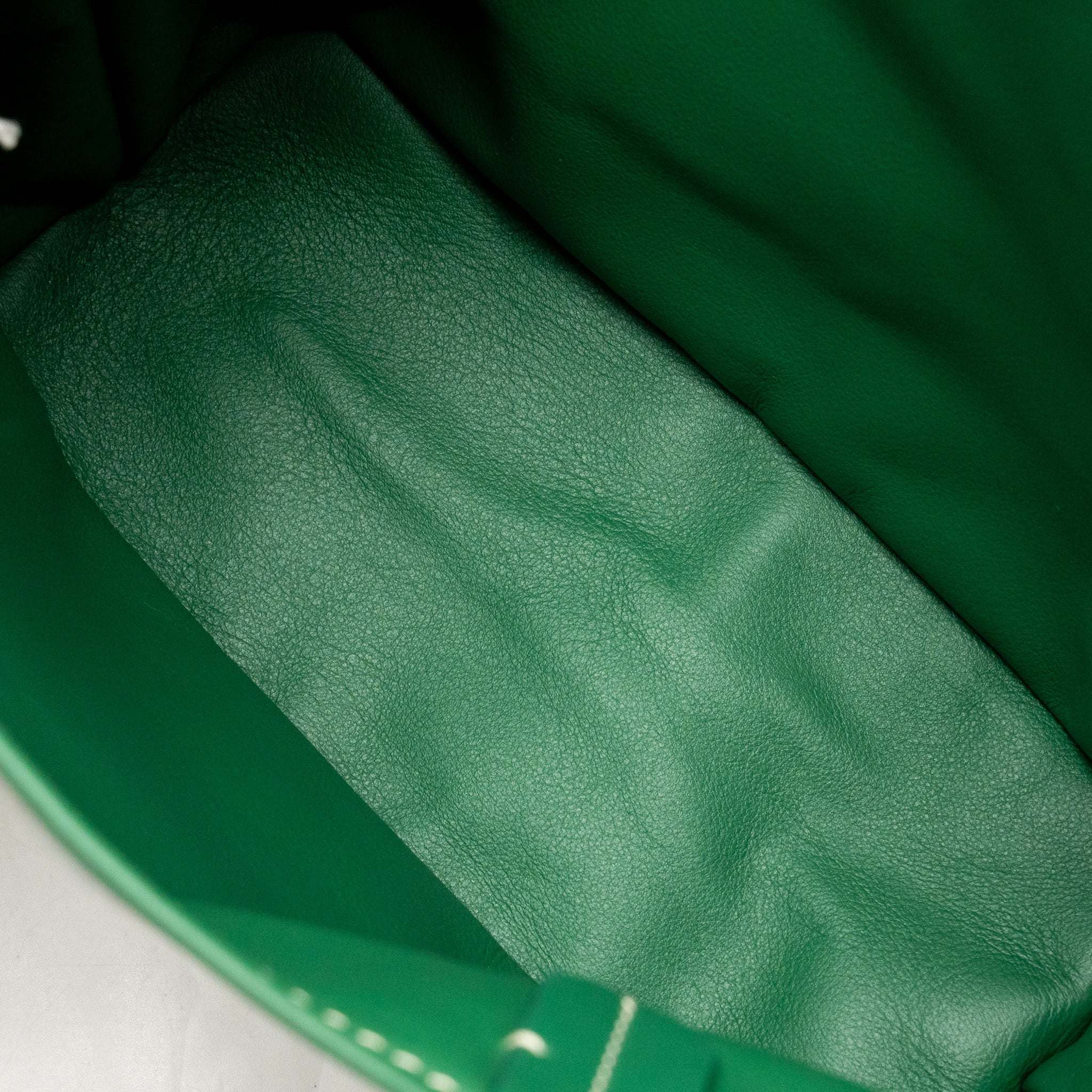 Goyard Mini Anjou Tote Goyardine Canvas / Calfskin Green SHW - Image 13