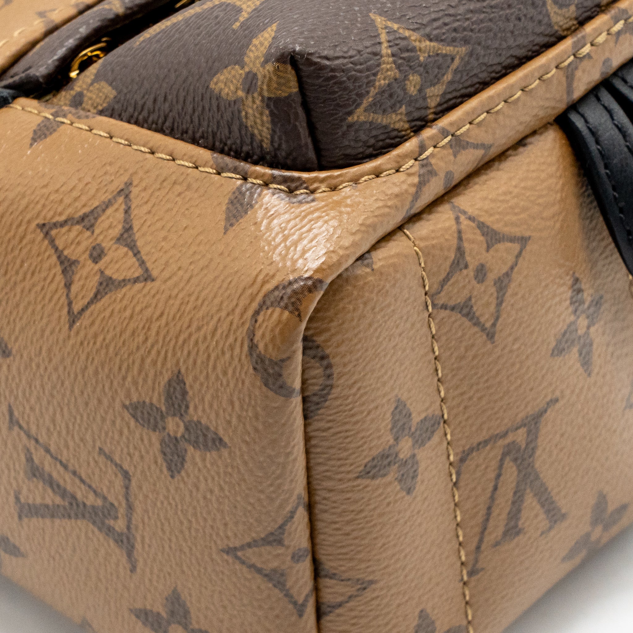 Louis Vuitton palm spring mini backpack monogram reverse canvas GHW - Image 7